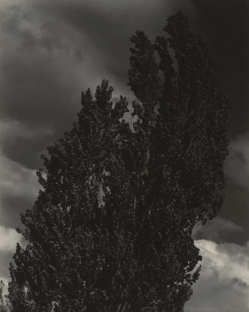 Equivalent by Alfred Stieglitz, photograph, 1927