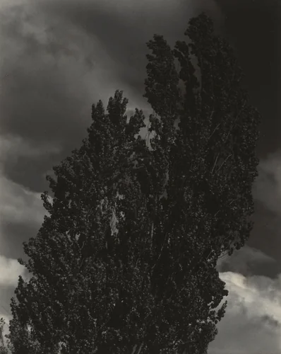 Equivalent by Alfred Stieglitz, photograph, 1927