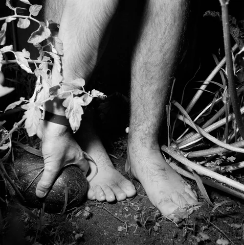 New York by Rosalind Solomon, photograph, 1987-1988