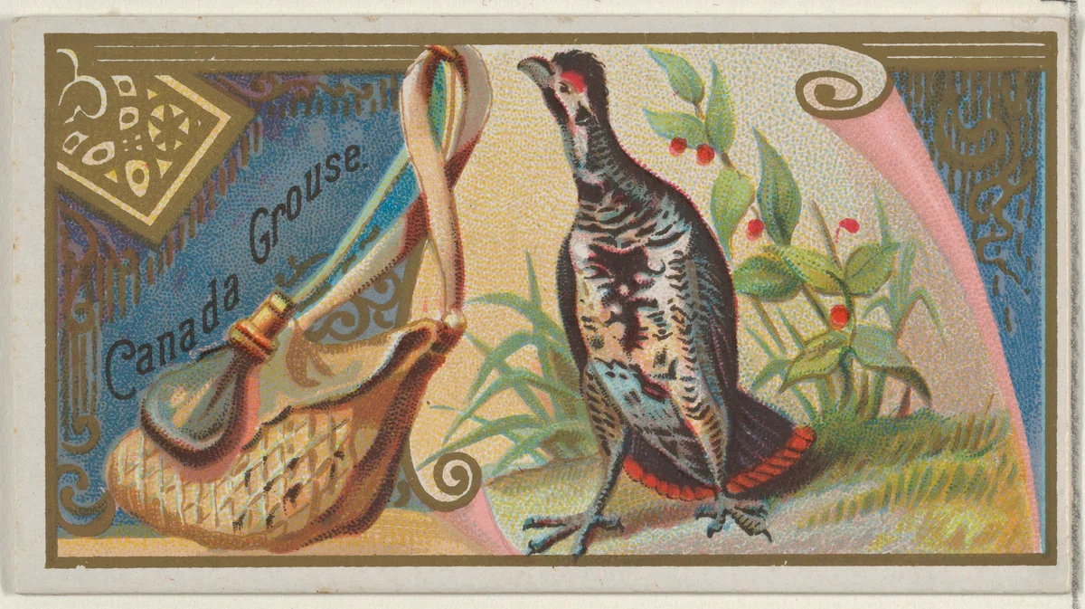 Canada Grouse, from the Game Birds series (N13) for Allen & Ginter Cigarettes Brands by Allen & Ginter, print, 1889