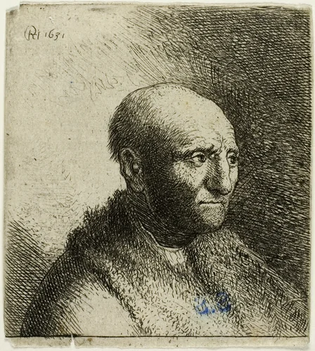 Bald Man in a Fur Cloak: Bust by Rembrandt van Rijn, print, 1631
