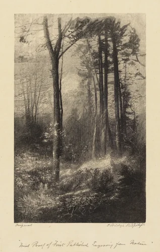 In a New England Forest by Elbridge Kingsley, print, 1860-1905