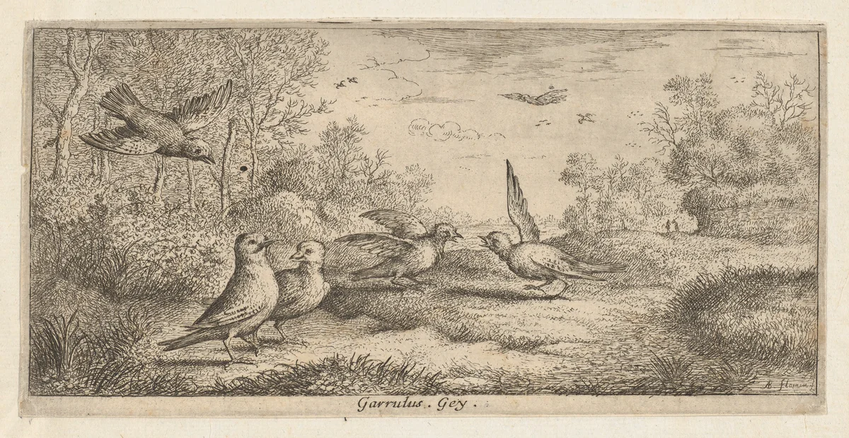 Garrulus, Gey (The Jay), from "Livre d'Oyseaux" (Book of Birds) by Albert Flamen, print, 1650-1665