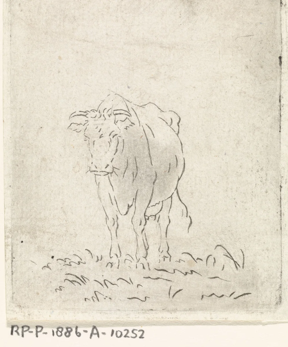 Koe, van voren by Pieter Janson, print, 1780-1851