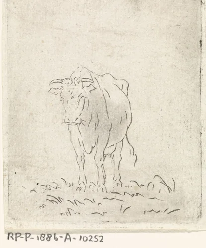Koe, van voren by Pieter Janson, print, 1780-1851