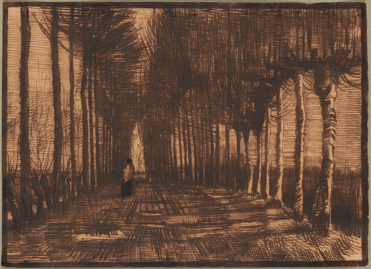 Avenue of Pollard Birches and Poplars by Vincent van Gogh, drawing, 1884
