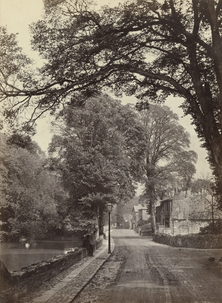 Bonchurch, Isle of Wight by Francis Frith, photograph, 1860