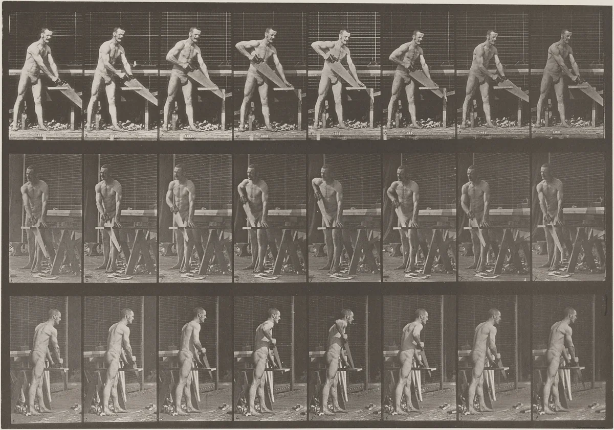 Plate Number 380. Carpenter, sawing a board by Eadweard Muybridge, photograph, 1887