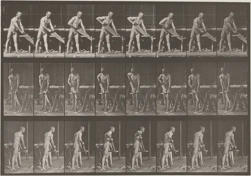 Plate Number 380. Carpenter, sawing a board by Eadweard Muybridge, photograph, 1887