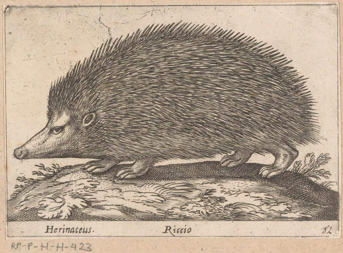 Egel by Antonio Tempesta, print, 1565-1630