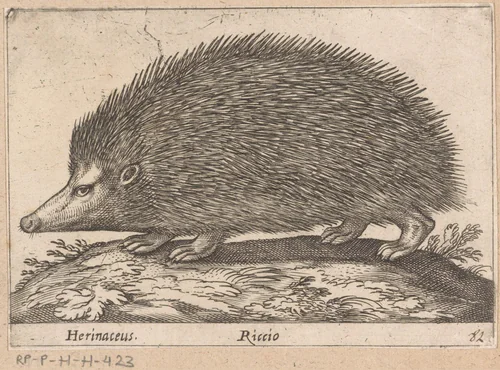 Egel by Antonio Tempesta, print, 1565-1630
