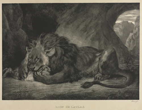 Lion of the Atlas Mountains by Eugène Delacroix, print, 1829