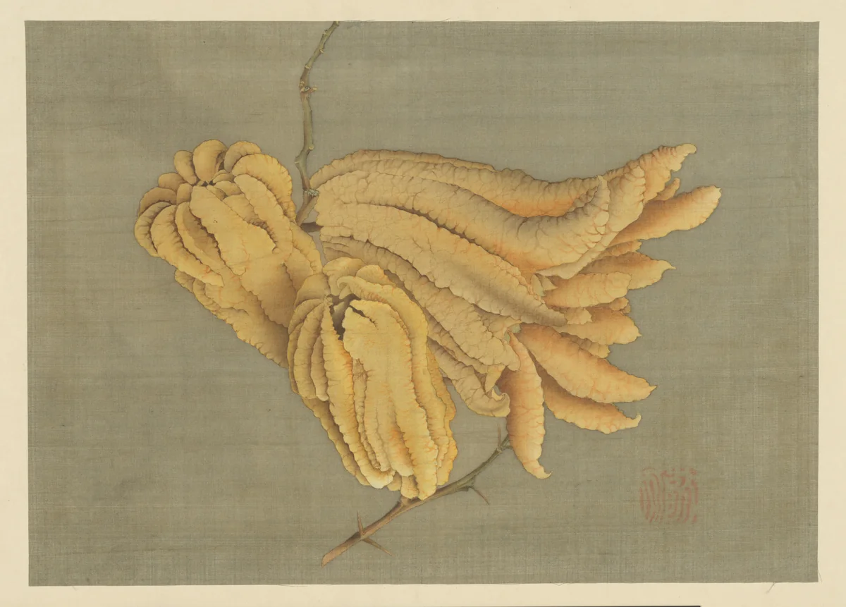 Buddha’s Hand Citron (Busshukan) by Katsushika Hokusai (葛飾 北斎), painting, 1834-1868