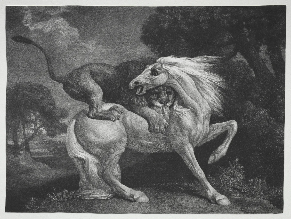 A Horse Attacked by a Lion by George Stubbs, print, 1788