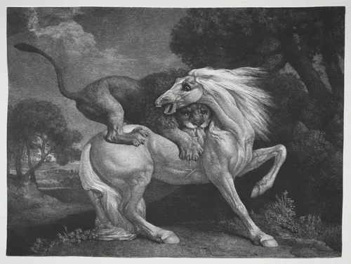 A Horse Attacked by a Lion by George Stubbs, print, 1788
