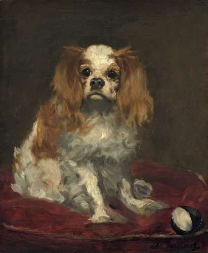 A King Charles Spaniel by Edouard Manet, painting, 1866