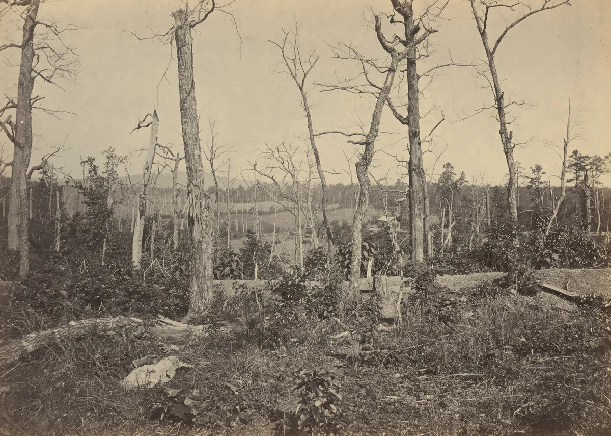 Battleground of Resaca, Georgia, No 3 by George N. Barnard, photograph, 1864