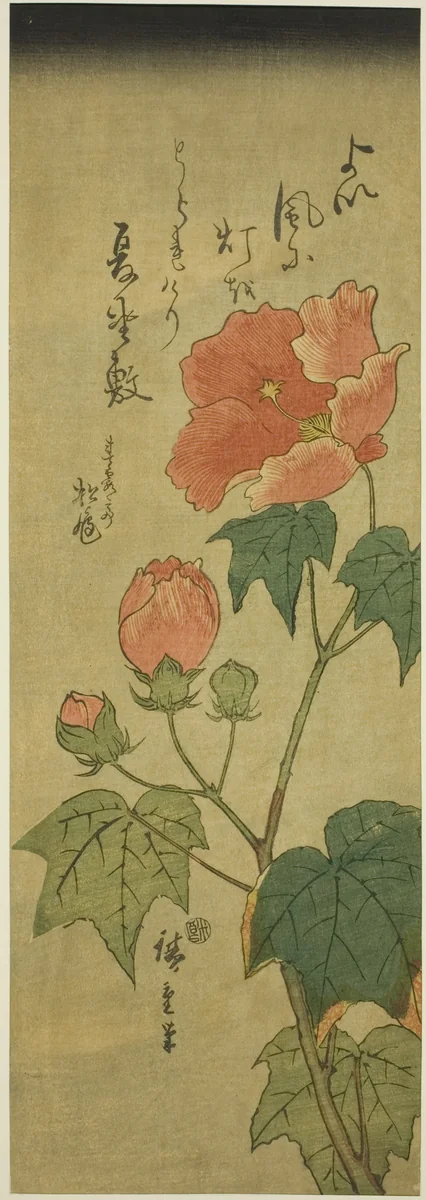 Hibiscus by Utagawa Hiroshige (歌川広重), print, 1838-1852