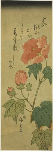 Hibiscus by Utagawa Hiroshige (歌川広重), print, 1838-1852