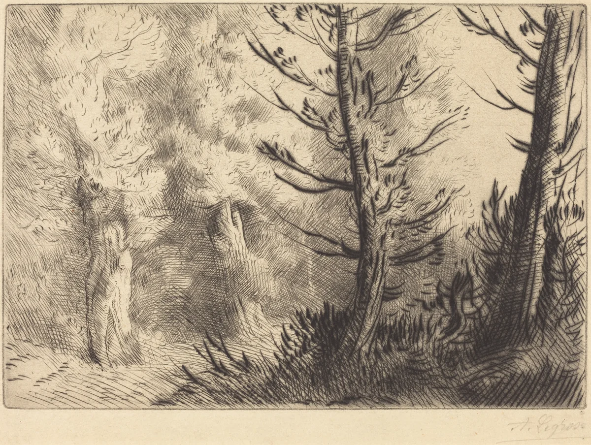 In the Forest of Fontainebleau (Dans le foret de Fontainebleau) by Alphonse Legros, print, 1837-1911