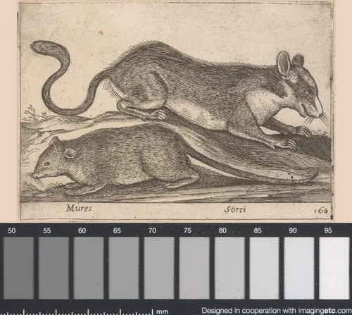 Twee ratten by Antonio Tempesta, print, 1565-1630