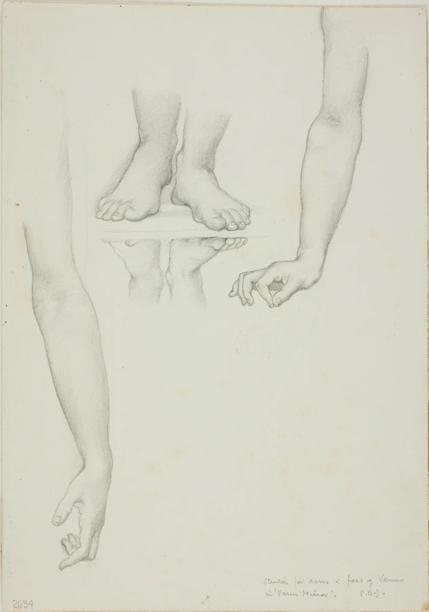 Study for Mirror of Venus: Arms and Feet of Venus by Edward Burne-Jones, drawing, 1863-1877