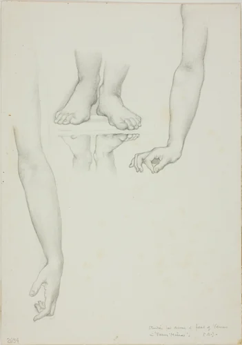 Study for Mirror of Venus: Arms and Feet of Venus by Edward Burne-Jones, drawing, 1863-1877