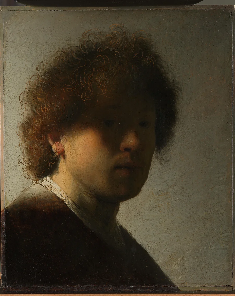 Self-portrait by Rembrandt van Rijn, painting, 1628