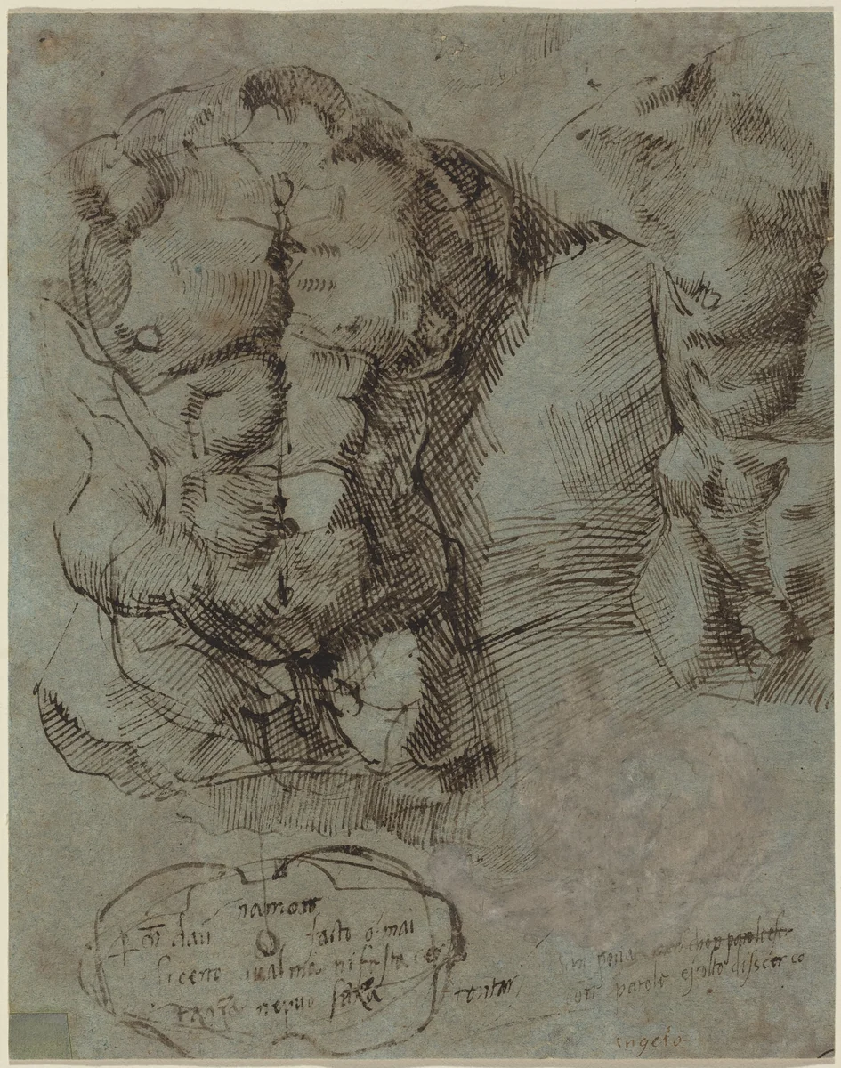 Studies of a Male Torso by None, drawing, 1519-1529