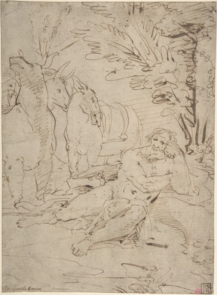 Unidentified Subject: Reclining Nude Male Figure and Cattle by Giovanni Angelo Canini, drawing, 1615-1666