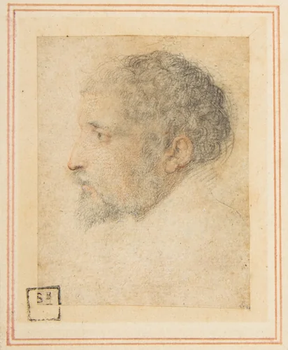Head of man in Profile to Left by Parmigianino, drawing, 1503-1540