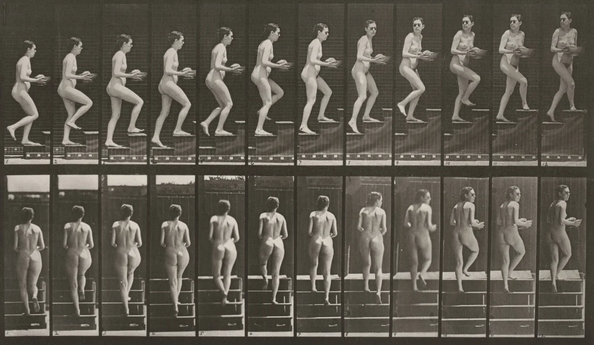 Plate Number 94. Ascending stairs and looking around with basin in hands by Eadweard Muybridge, photograph, 1887