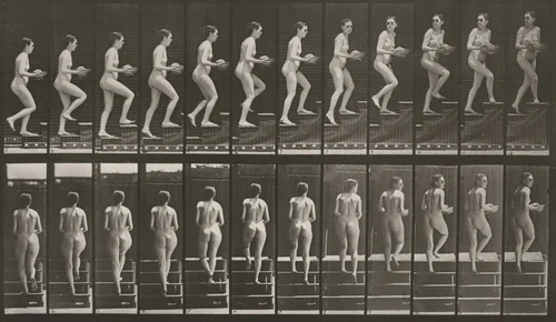 Plate Number 94. Ascending stairs and looking around with basin in hands by Eadweard Muybridge, photograph, 1887