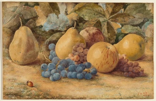 Still Life of Fruit: Apples, Pears, and Grapes on Ground by John William Hill, drawing, 1874