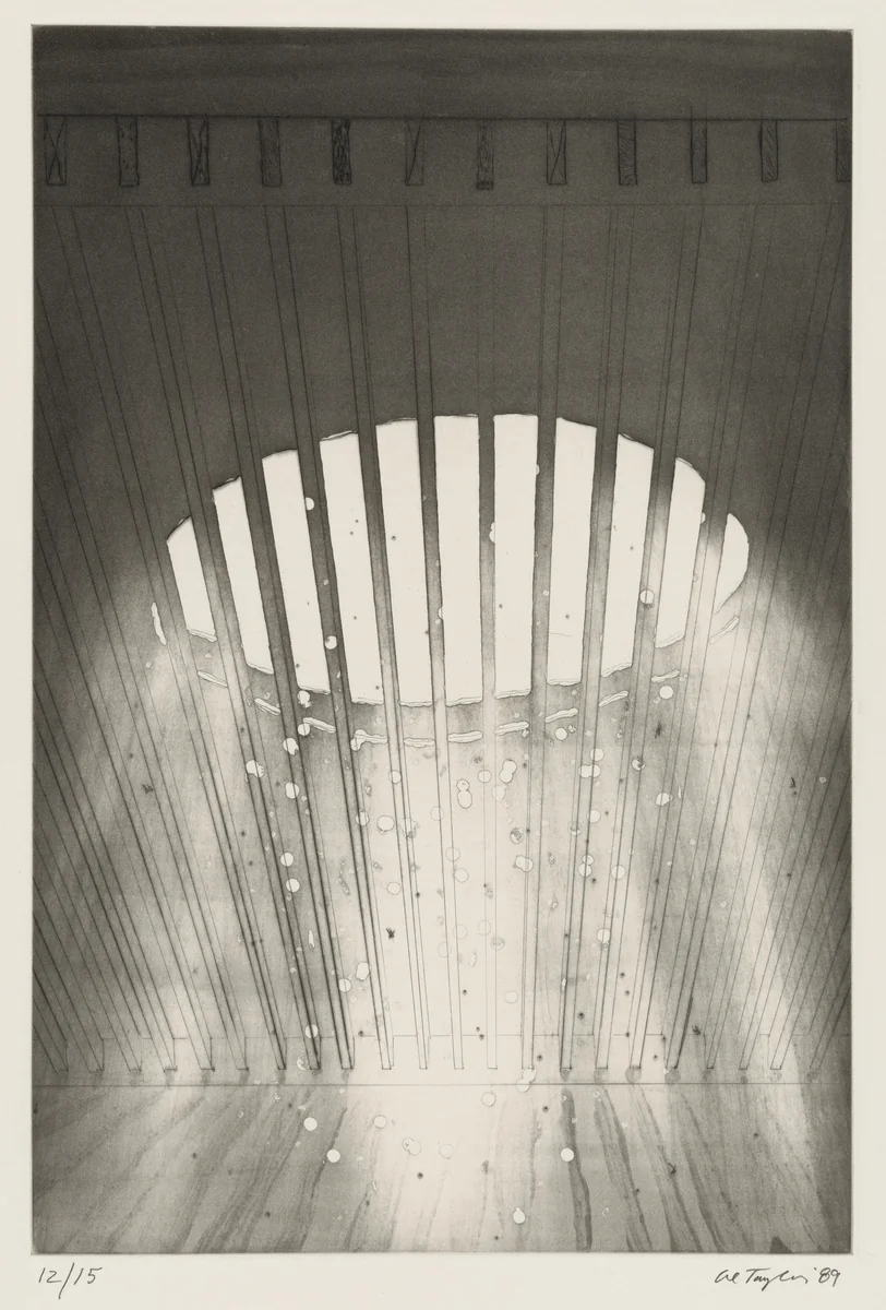 Ventilated Ceiling by Al Taylor, print, 1989
