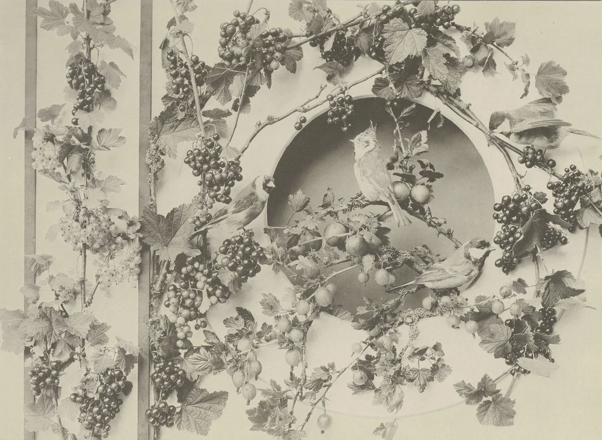 Page from Festons und Dekorative Gruppen by Unidentified Photographer, photograph, 1893