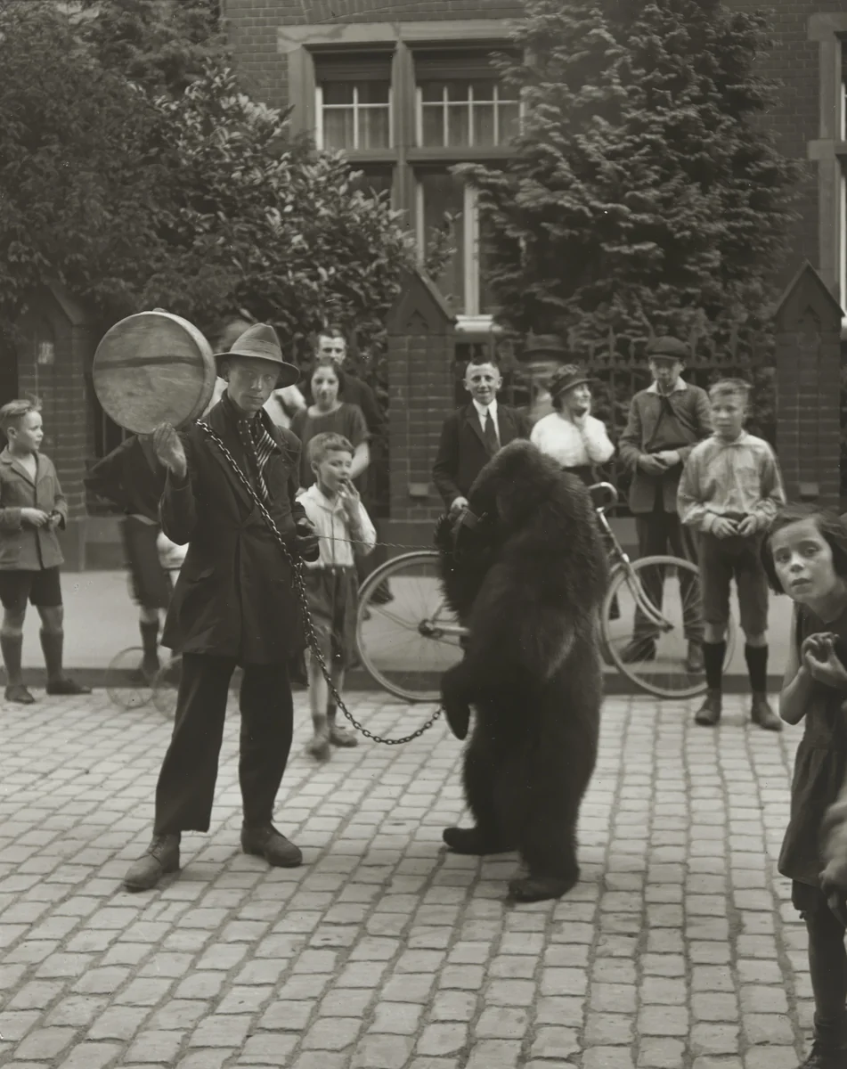 Showman with Performing Bear in Cologne by August Sander, photograph, 1923