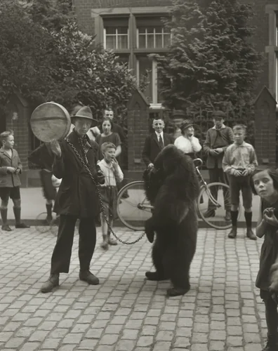 Showman with Performing Bear in Cologne by August Sander, photograph, 1923