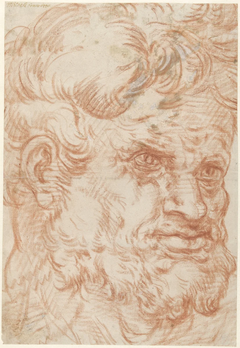 Kop van een saterachtige man met weelderige haar- en baardgroei, half naar rechts by anonymous, drawing, 1550-1600