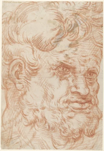 Kop van een saterachtige man met weelderige haar- en baardgroei, half naar rechts by anonymous, drawing, 1550-1600