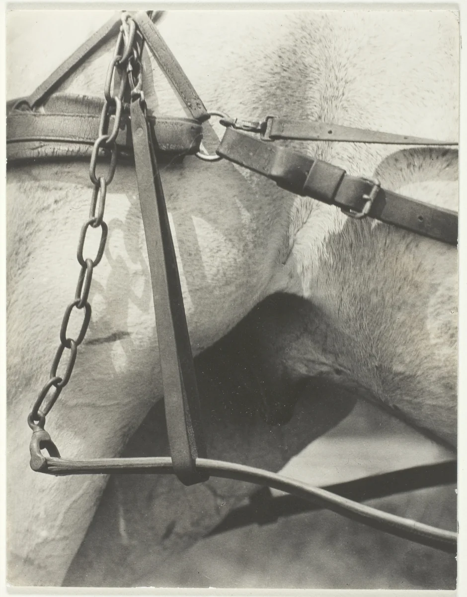Equivalent, Spiritual America by Alfred Stieglitz, photograph, 1923