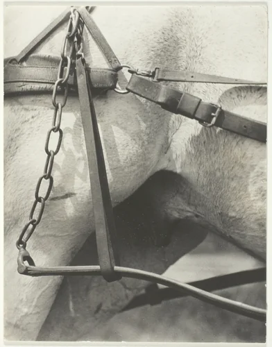 Equivalent, Spiritual America by Alfred Stieglitz, photograph, 1923