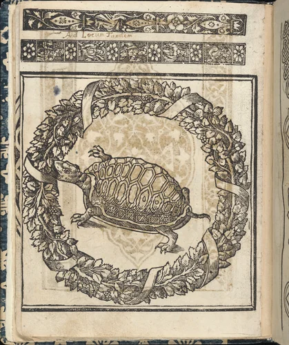 Essempio di recammi, page 23 (verso) by Giovanni Antonio Tagliente, book, 1530