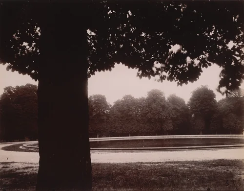 Saint-Cloud by Eugène Atget, photograph, 1926