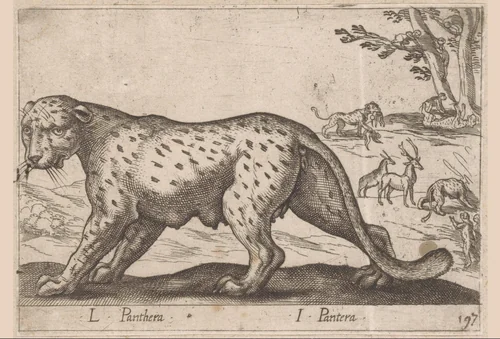 Panter by Antonio Tempesta, print, 1565-1630