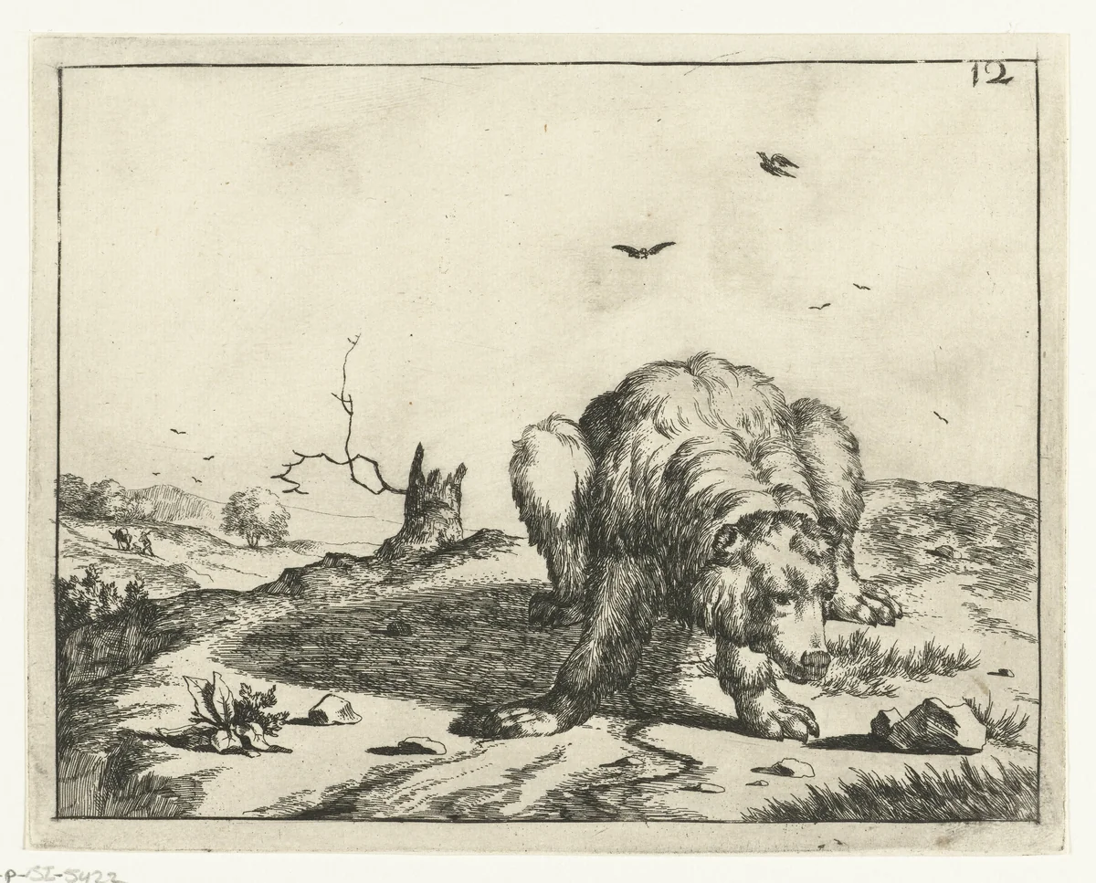Hurkende beer, bij boomstronk by Marcus de Bye, print, 1664
