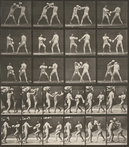 Plate Number 334. Boxing with gloves by Eadweard Muybridge, photograph, 1887