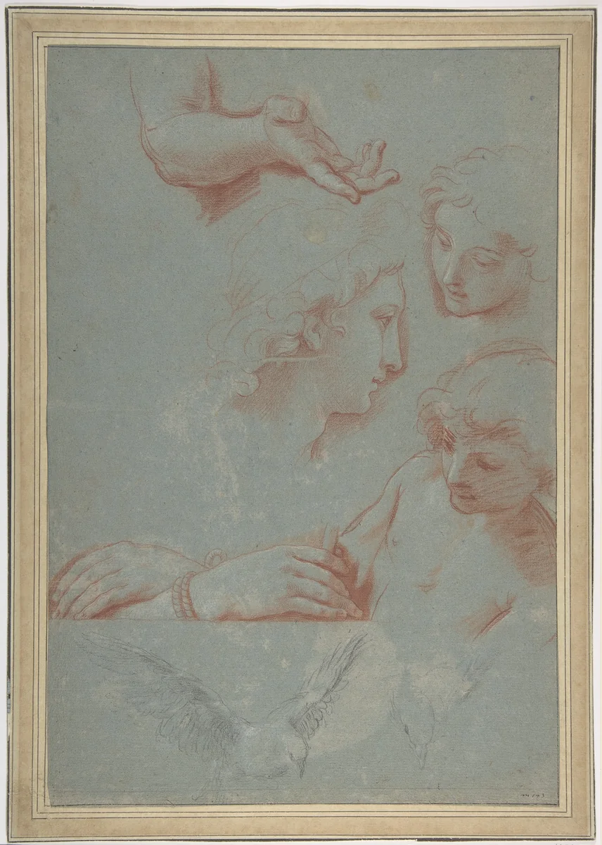 Sheet of Studies: Heads, Hands, and Doves by Luigi Garzi, drawing, 1638-1721