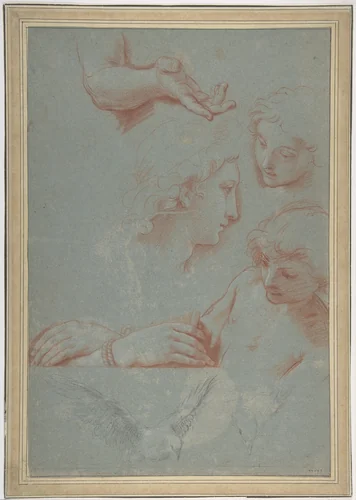 Sheet of Studies: Heads, Hands, and Doves by Luigi Garzi, drawing, 1638-1721