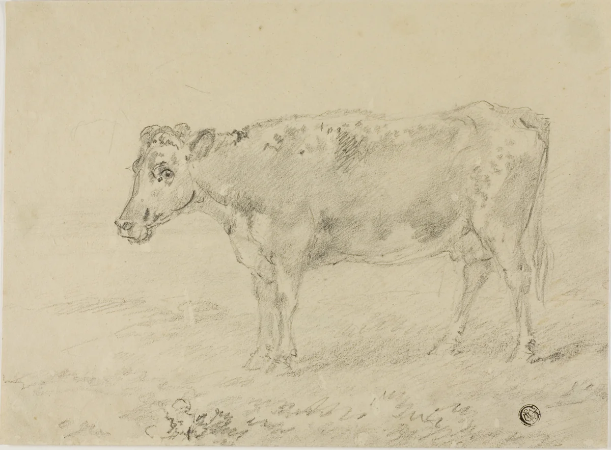 Cow by Sawrey Gilpin, drawing, 1750-1859